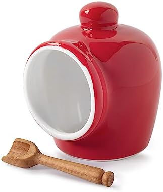 WM Bartleet Sons 1750 Traditional Salt Pig with Wooden Spoon Red 9cm