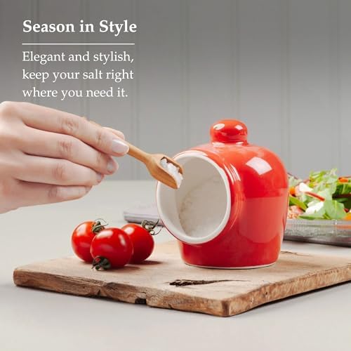 WM Bartleet Sons 1750 Traditional Salt Pig with Wooden Spoon Red 9cm