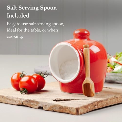 WM Bartleet Sons 1750 Traditional Salt Pig with Wooden Spoon Red 9cm