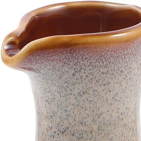 PrettyZoom Ceramic Seasoning Bottle for Soy Sauce and Olive Oil
