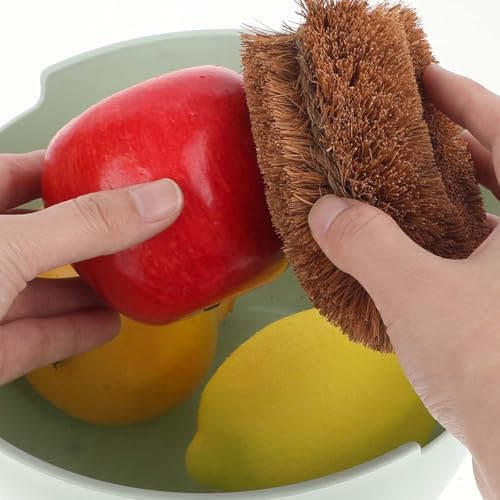 Sturdy Vegetable Dish Brush