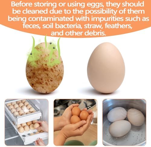 Eggangle-free silicone brush