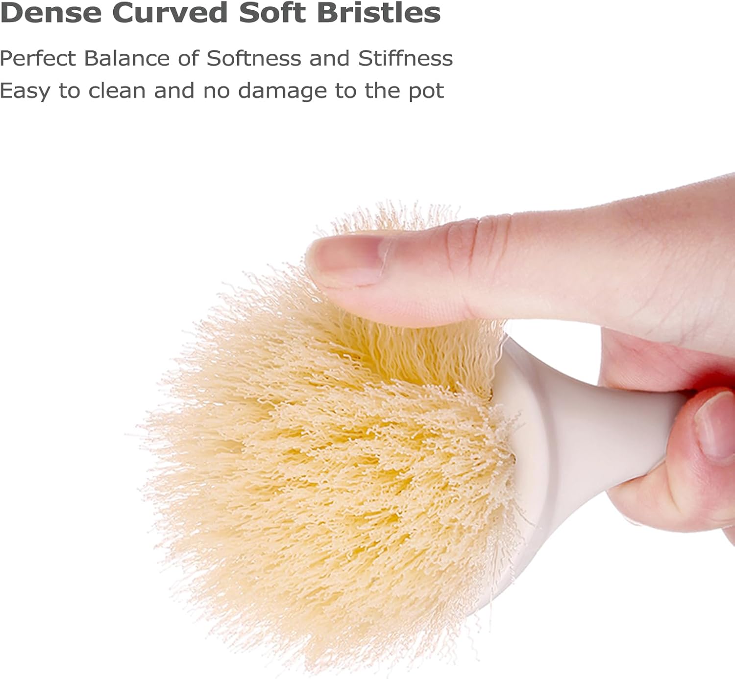 2-Pot Cleaning DishBrush Set with Handle