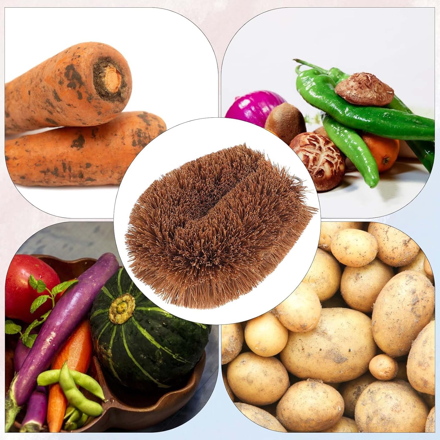 Sturdy Vegetable Dish Brush